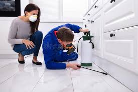 Best Fumigation Services  in Rayville, LA